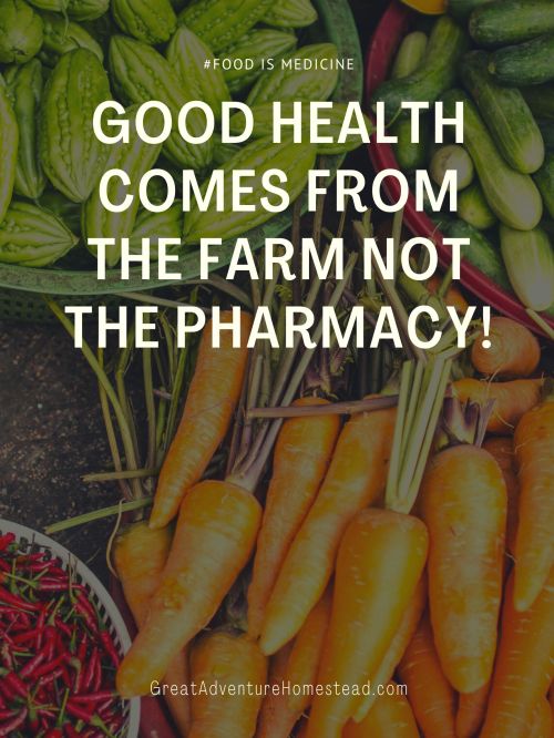Canva - Vegetables Photo - Farmers Market - Good Health Comes From the Farm