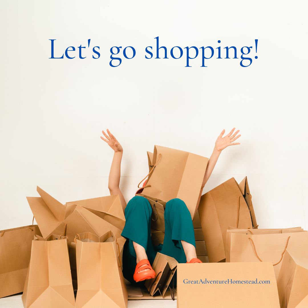 Canva - Lets Go Shopping